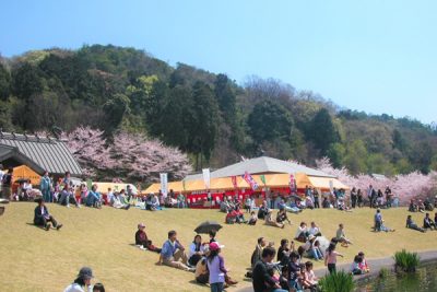 妹背の里　桜祭り（さくらまつり）