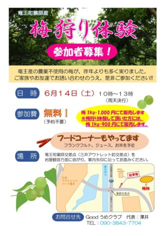 梅狩り体験