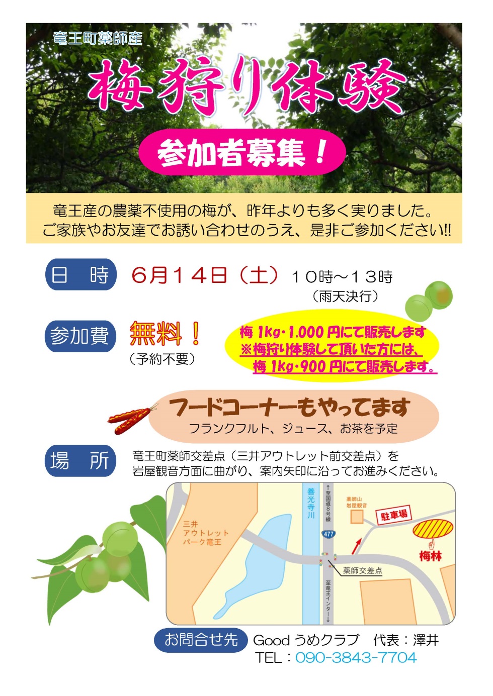 梅狩り体験