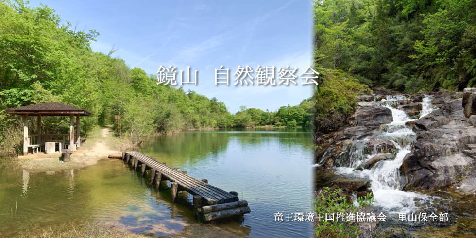 鏡山自然観察会